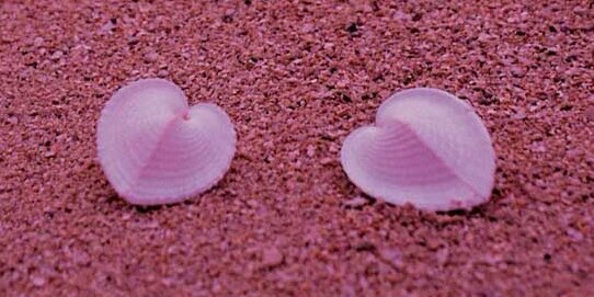 xxmeeshellxx's profile banner image