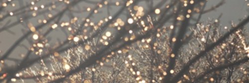 raytchull's profile banner image