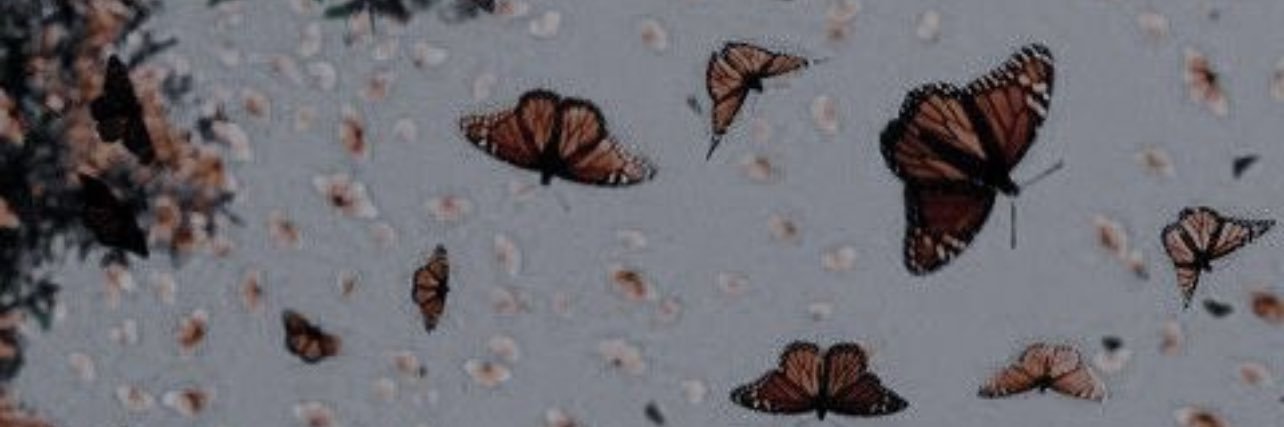 Bailey_Ann22's profile banner image