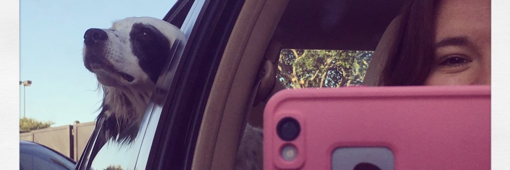 mar_go85's profile banner image
