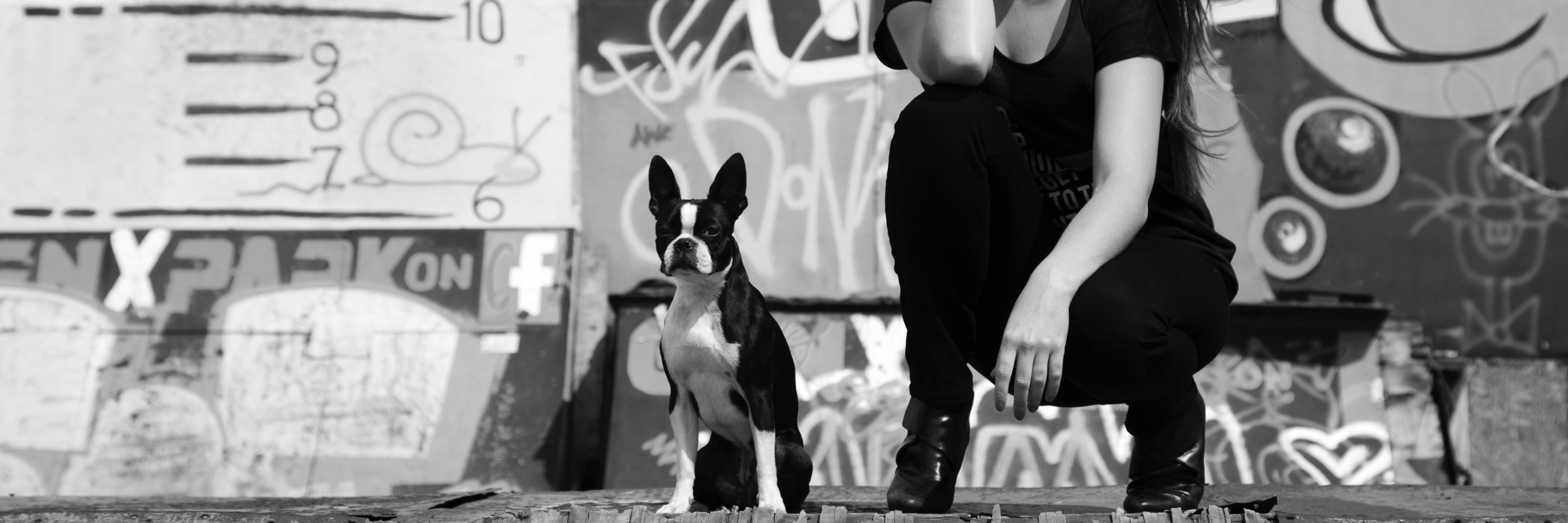 StyleDiarySA's profile banner image
