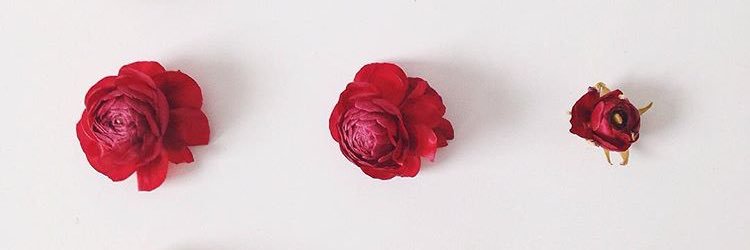 ericka_beane's profile banner image