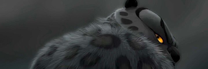knightyty's profile banner image