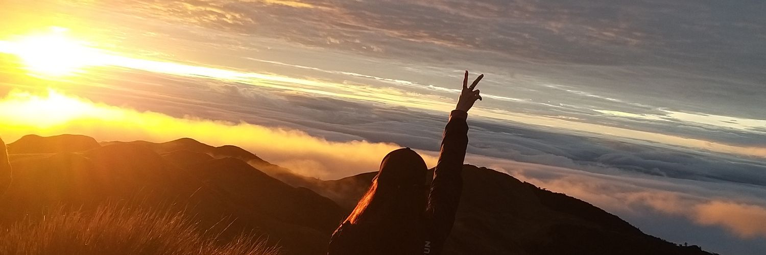 maviiosa's profile banner image