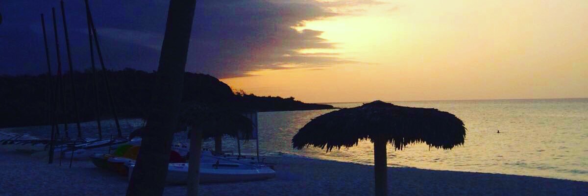 steph_robertss's profile banner image