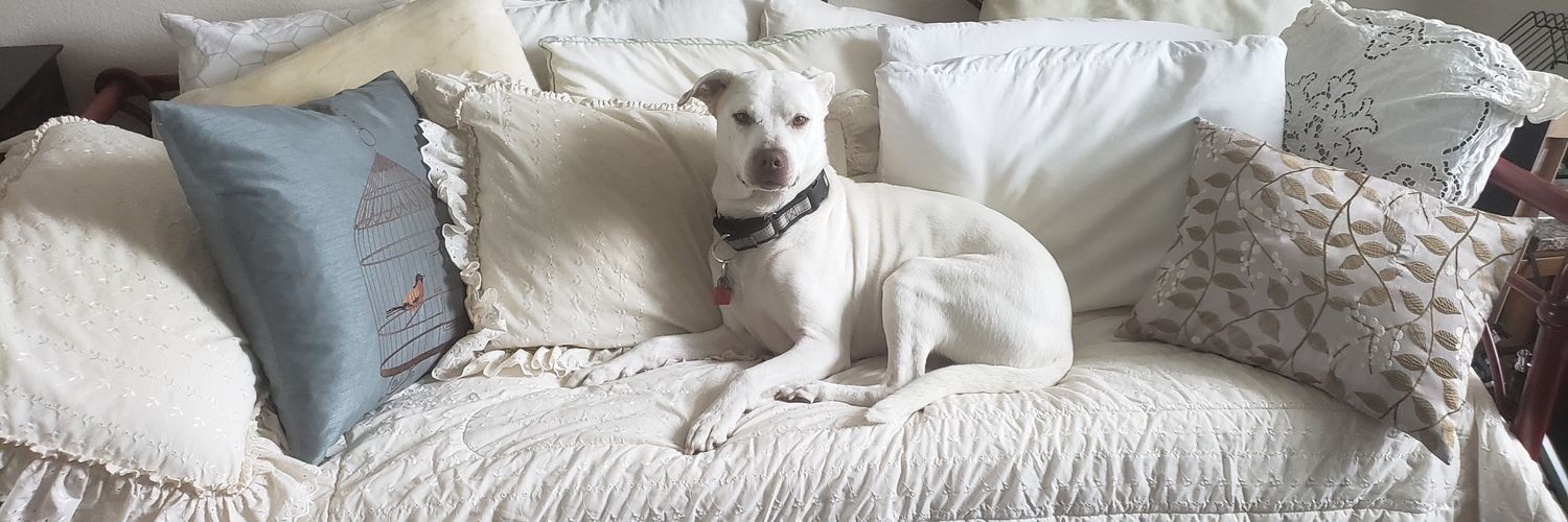 Patrick Davis banner