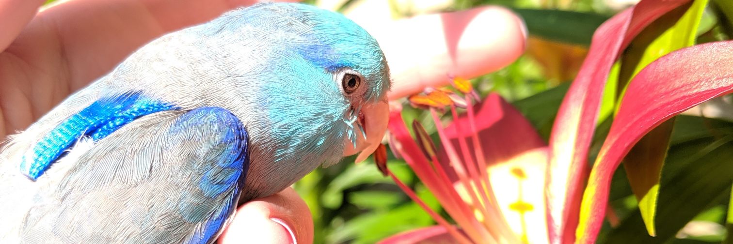 Jennifer Constance banner