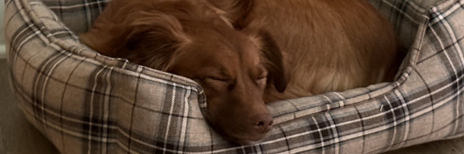 kendallbc14's profile banner image
