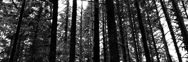 ewanagibb Profile Banner