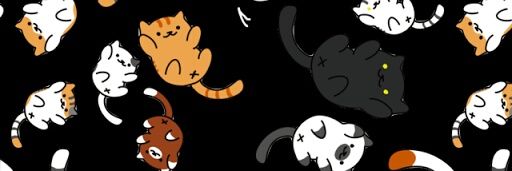 N_Plai's profile banner image
