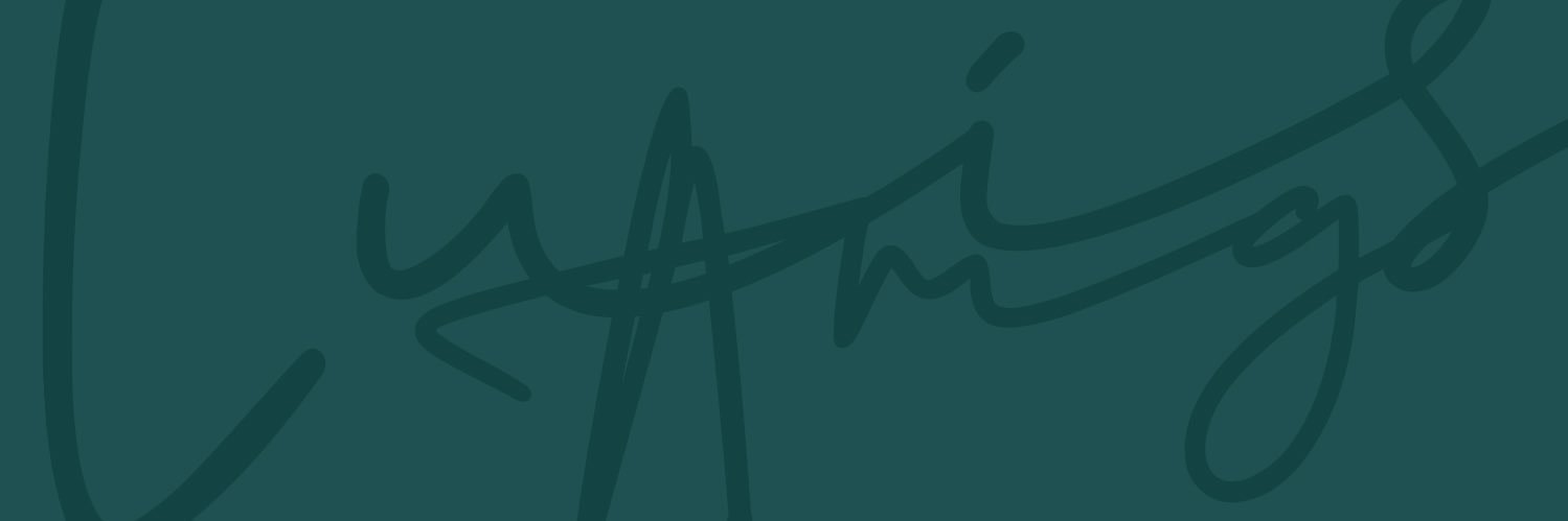 LuisAmg's profile banner image