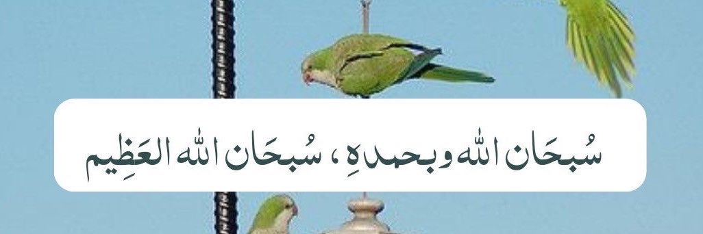 aamany1409's profile banner image