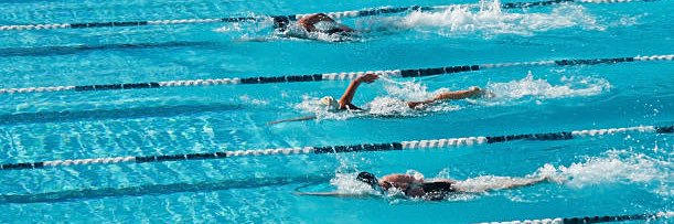 Hannah Packer - PE ⛹🏼‍♀️🏊‍♀️🚴‍♀️ banner