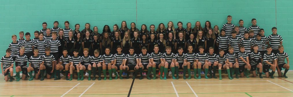 Rodillian Sport banner