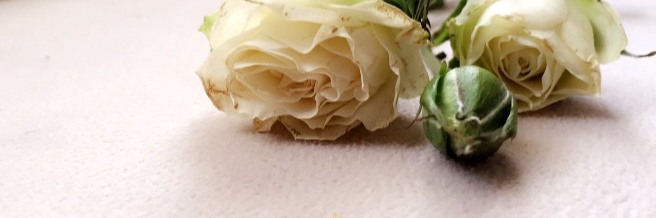 Tamyanoo's profile banner image