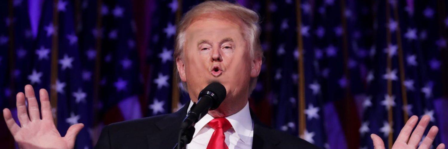 tinyfacetrump's profile banner image