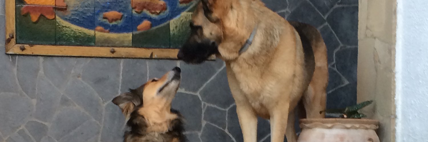 Andy Watkinson banner