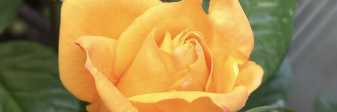 BorisJugson's profile banner image