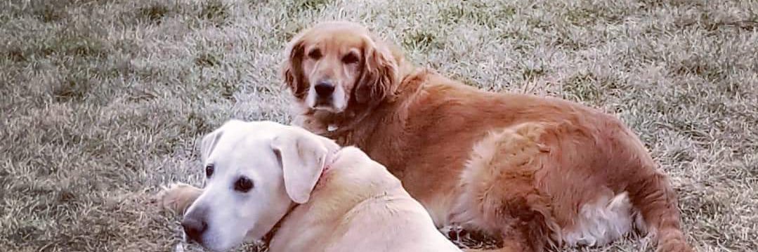 GRRINebraska's profile banner image
