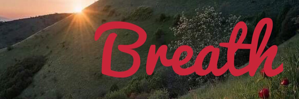 elevationyoganm's profile banner image