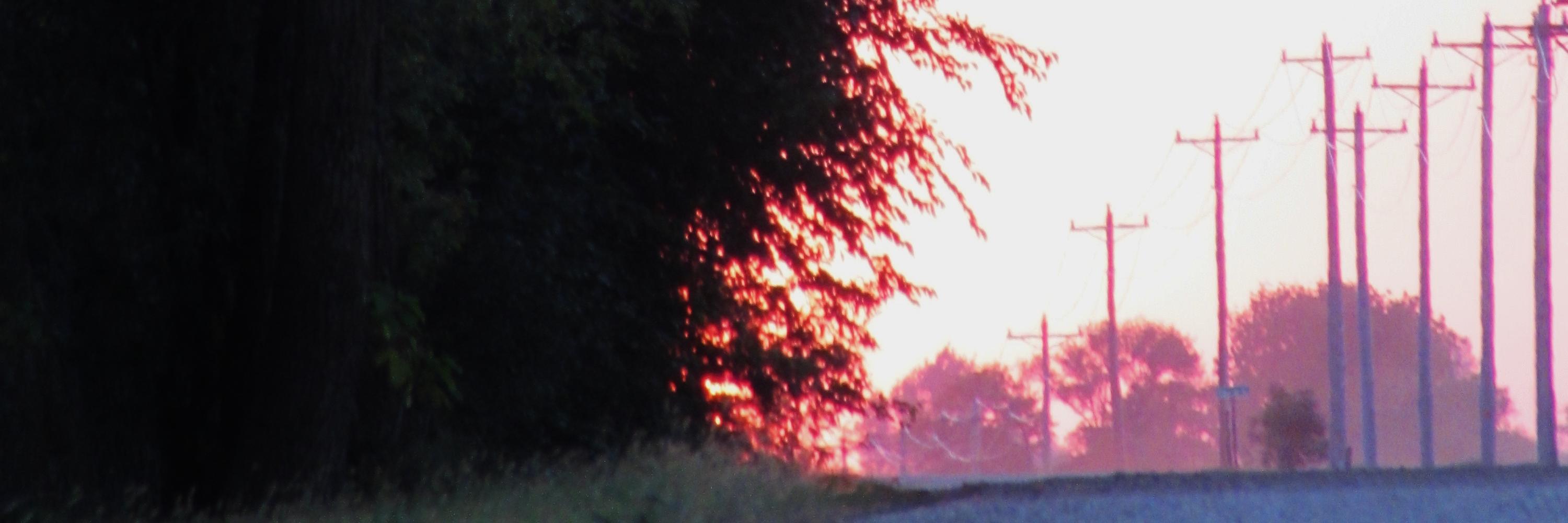 psbomstad's profile banner image