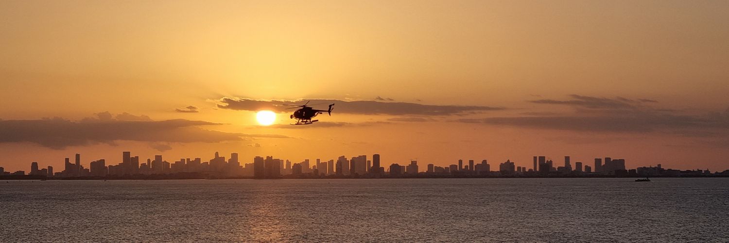 Javier Ortega Figueiral banner