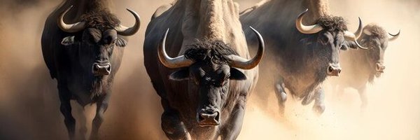 MikeBorys Profile Banner