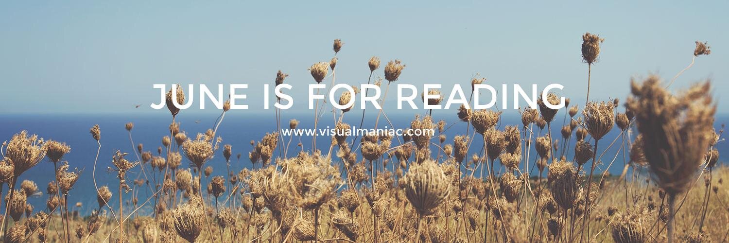 visualMANIAC banner