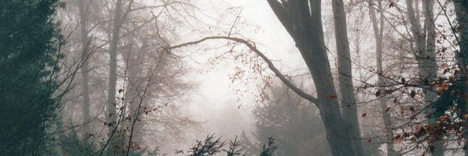 middlepartjeon's profile banner image