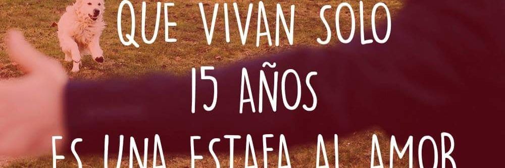 veerofernandez's profile banner image