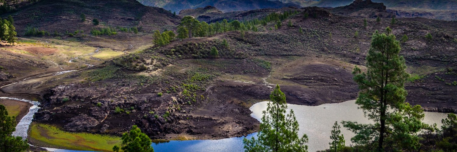rovibeni's profile banner image