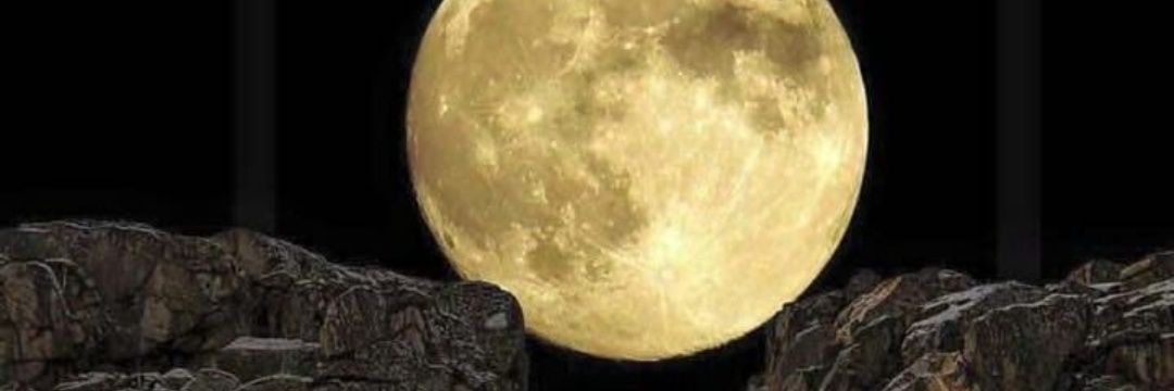 7Hassoon's profile banner image