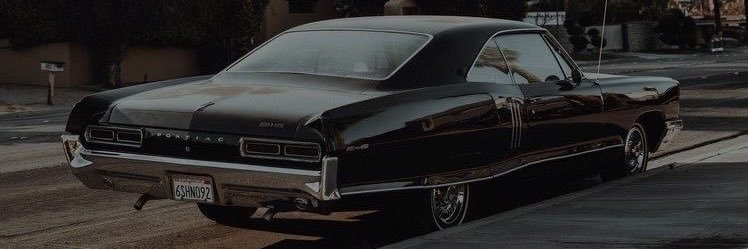 zizz1993's profile banner image