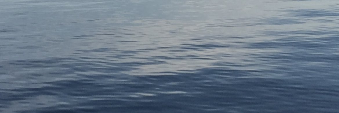 MelvinLohse's profile banner image