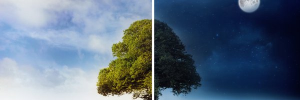 klknut Profile Banner