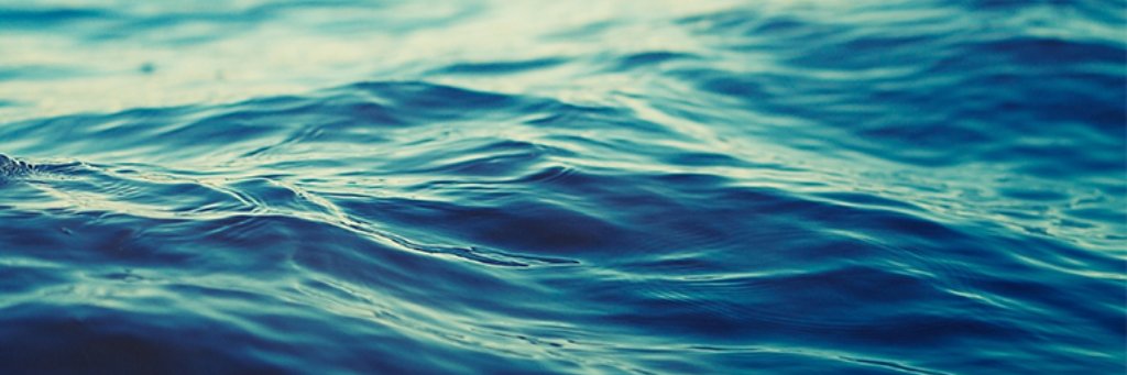 rarissimaa's profile banner image