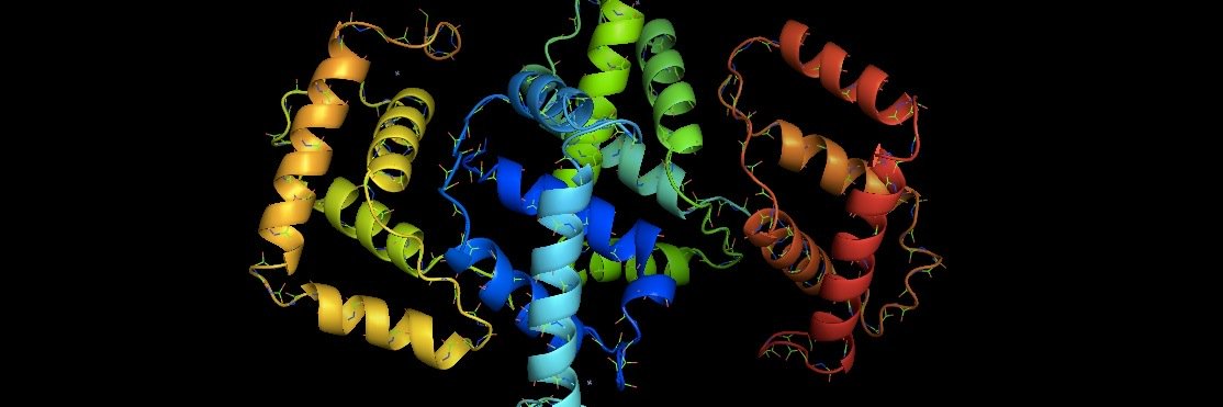 burton_lab's profile banner image