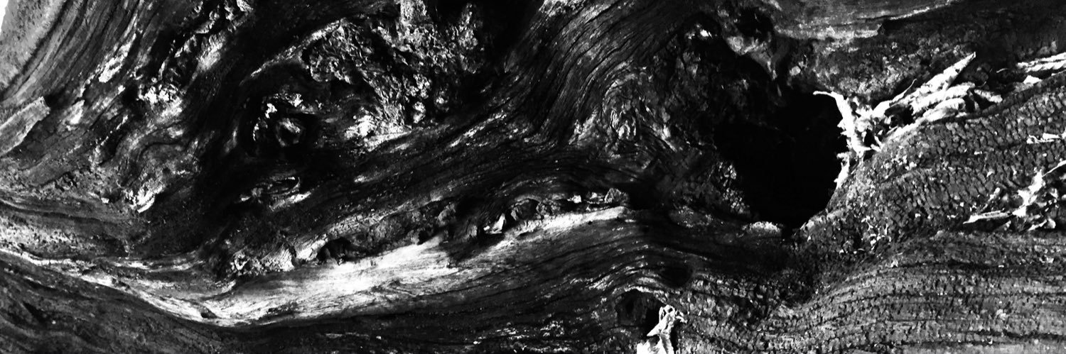 r_heed's profile banner image