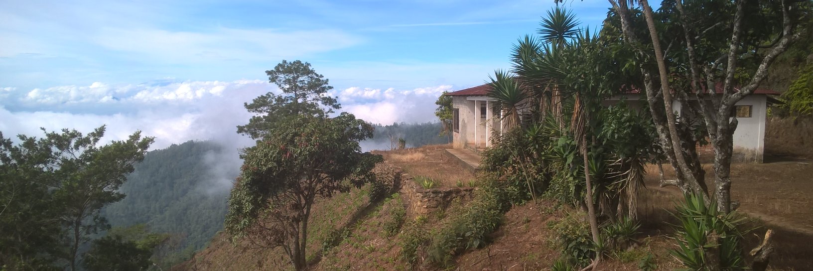 ForestSchoolBio's profile banner image