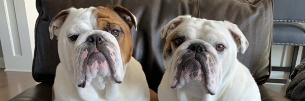 troyshay Profile Banner