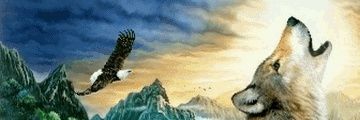Kit_ru1's profile banner image