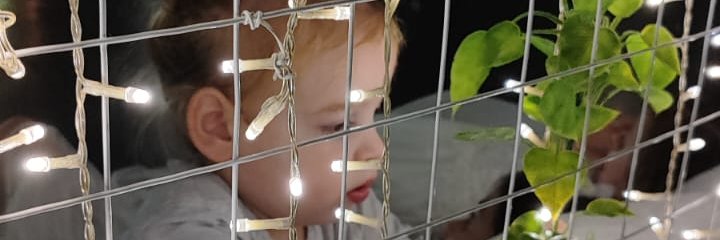 Shani Guttman Afiki banner