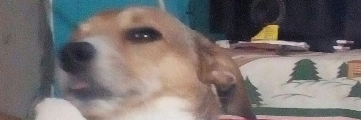 mayara2428's profile banner image