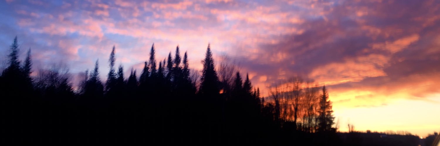 meatlowf's profile banner image