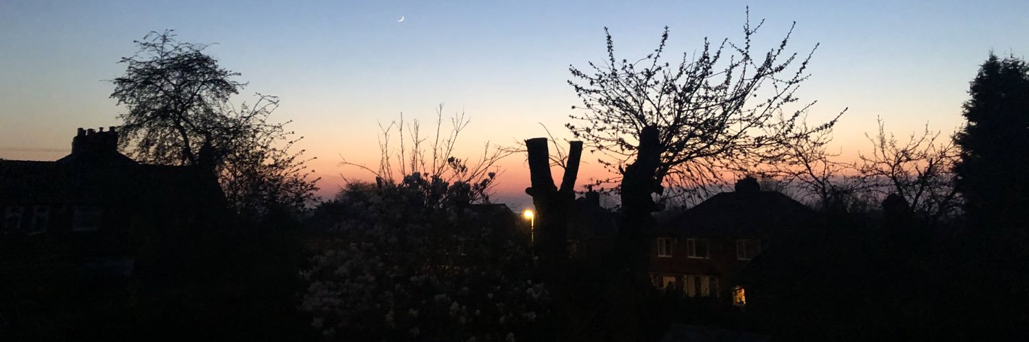 LydiaPreston's profile banner image