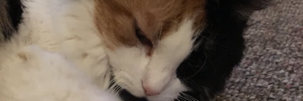 dks7608's profile banner image
