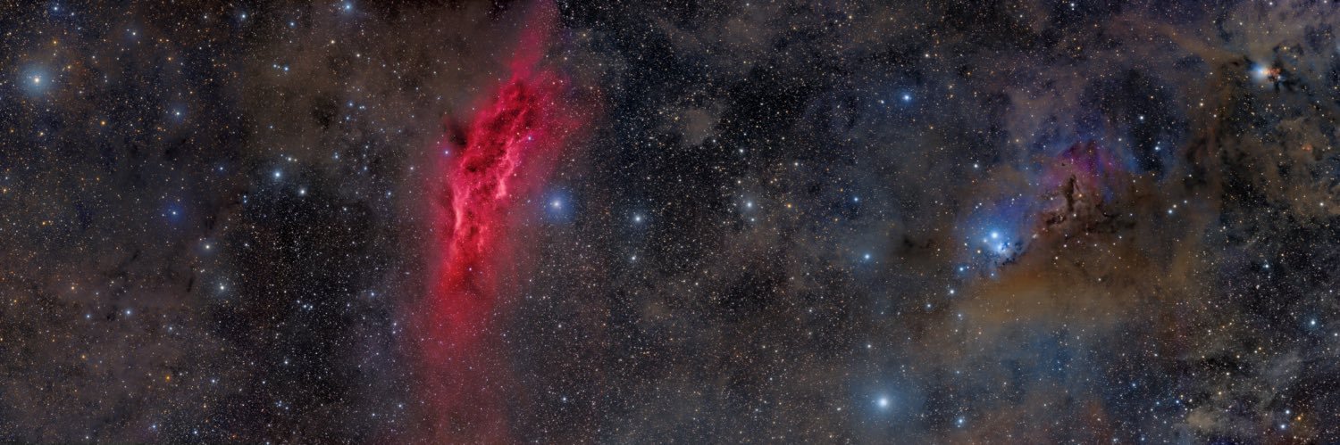 ayallizd's profile banner image