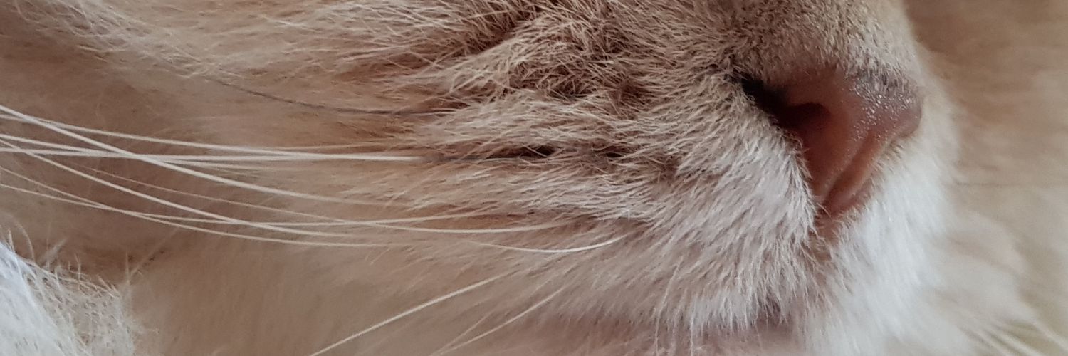 trinitytweeds's profile banner image