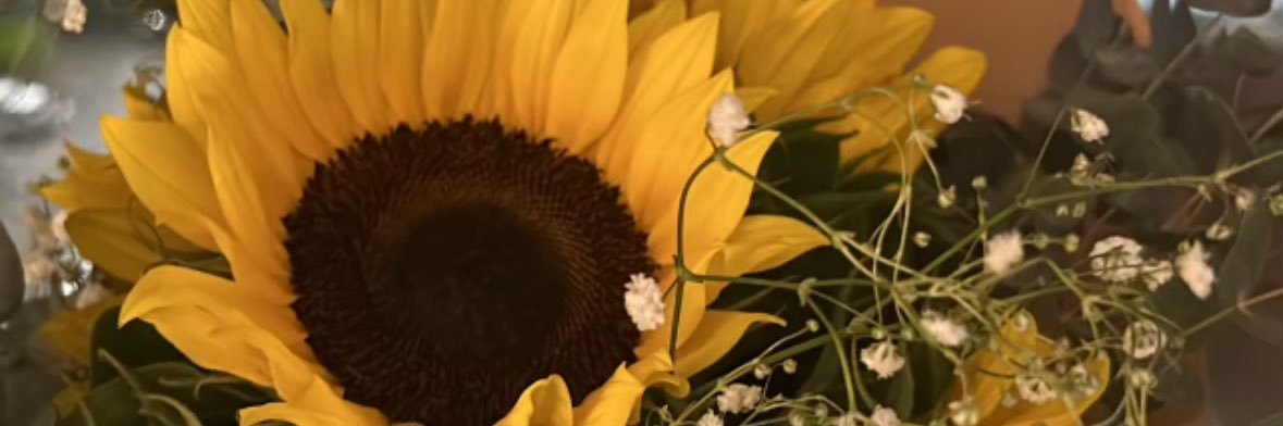 tychanel_'s profile banner image