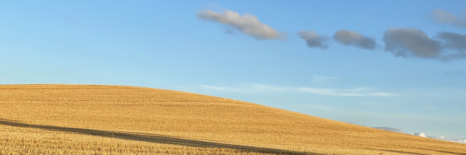 SP_CCSIT's profile banner image